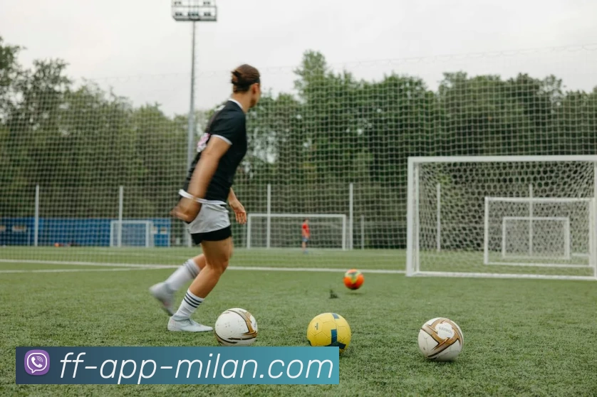 米兰体育官网APP 封面图